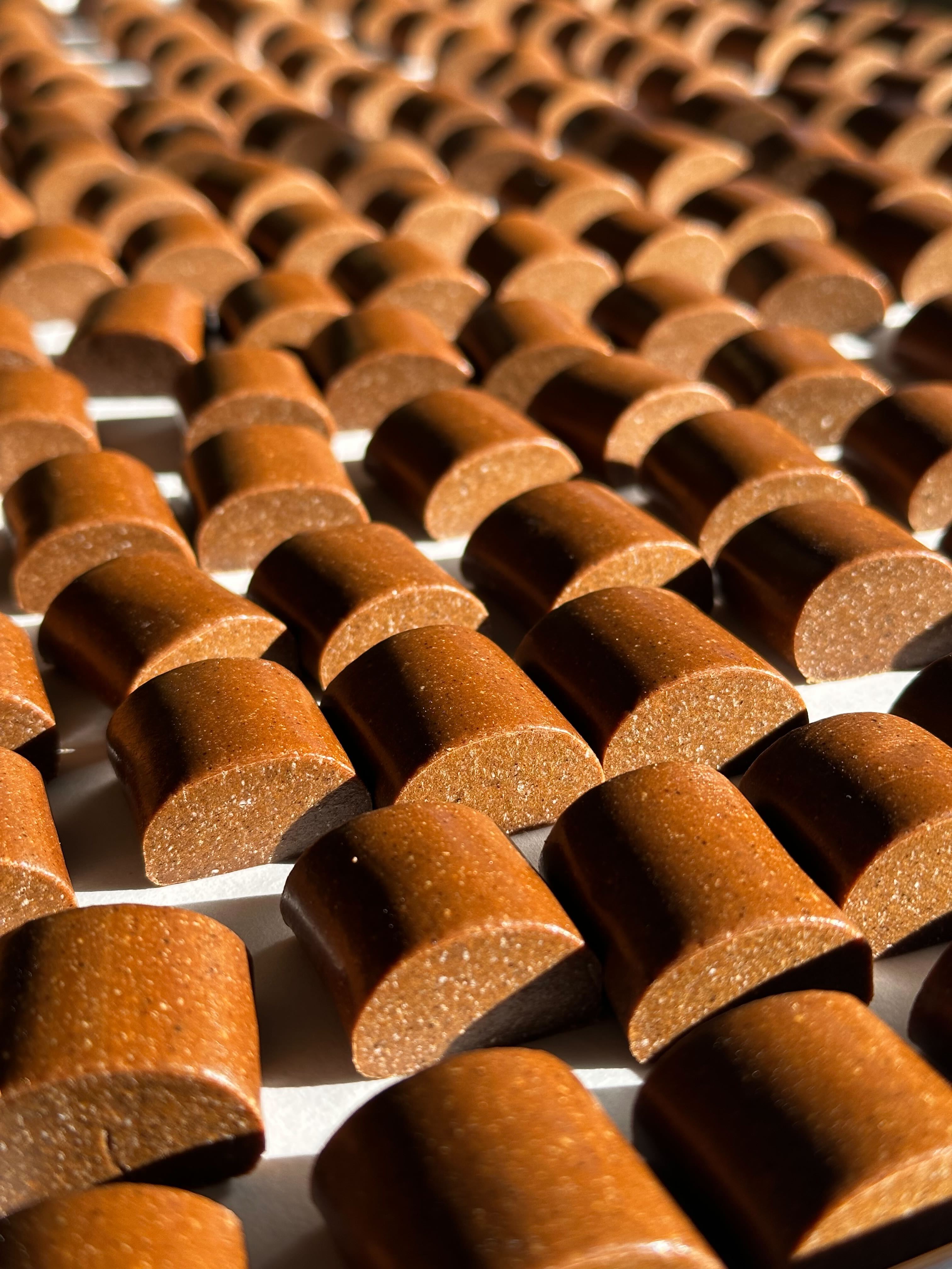 🎃 PSL Adventure Pack - 21 Bites